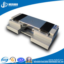 Flush Twinline / Rubber Expansion Joint Cover (Floor To Floor)
